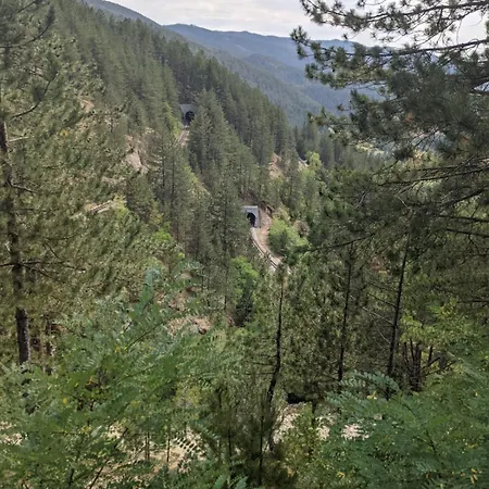 Kojadinovica Koliba Dom wakacyjny *