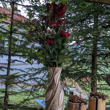 Kojadinovica Koliba Dom wakacyjny