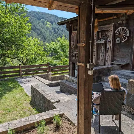 Dom wakacyjny Kojadinovica Koliba Mokra Gora